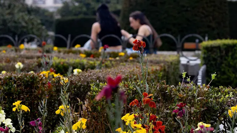 Flores durante el primer día de primavera, a 20 de marzo de 2024, en Madrid (España). La primavera ha comenzado hoy, 20 de marzo, en el hemisferio norte y durará aproximadamente 92 días y 18 horas, terminando el 20 de junio con el comienzo del verano. Este invierno ha sido el más cálido en España desde la serie histórica y según los pronósticos de la Agencia Estatal de Meteorología (Aemet) se espera una primavera más calurosa de lo normal. El cambio de hora, el último del mes de marzo, contribuye a que los días sean más largos.
20 MARZO 2024;PRIMAVERA;CALOR;TEMPERATURA;ESTACIÓN
Eduardo Parra / Europa Press
20/3/2024