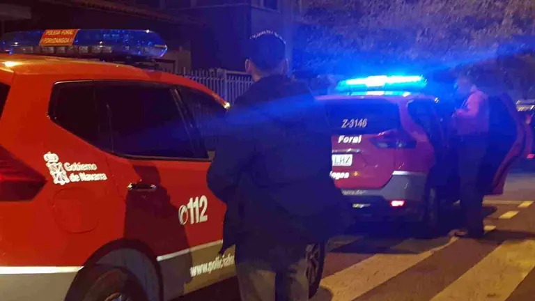 Uno de los detenidos ante el coche patrulla de la Policía Foral. POLICÍA FORAL