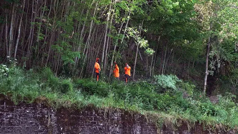 El Ayuntamiento limpia el talud sobre la cuesta de Santo Domingo. AYUNTAMIENTO DE PAMPLONA