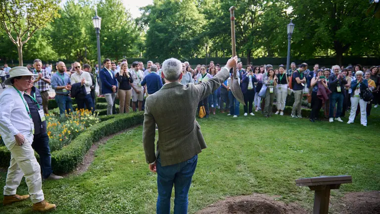 Plantación en la Taconera de un magnolio de 4,5 m de altura en conmemoración del 50 congreso de jardinería pública. PABLO LASAOSA
