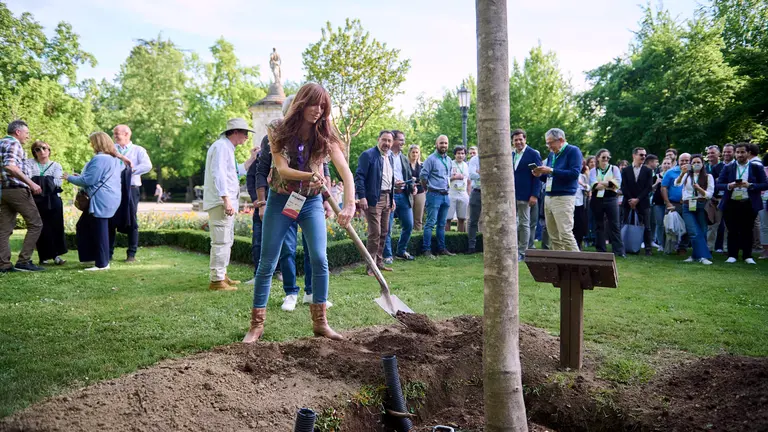 Plantación en la Taconera de un magnolio de 4,5 m de altura en conmemoración del 50 congreso de jardinería pública. PABLO LASAOSA