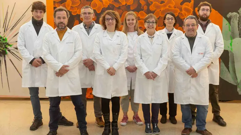 Invetigadores del proyecto. En primera fila de izda a dcha: Héctor Santesteban, Mónica Oyarzun, M.Carmen Antolín, 
 y Fermín Morales. Detrás: Carlos Guembe, Amadeo Urdiain, Andrea Cabodevilla, Inmaculada Pascual y Andoni Iglesias. UNIVERSIDAD DE NAVARRA