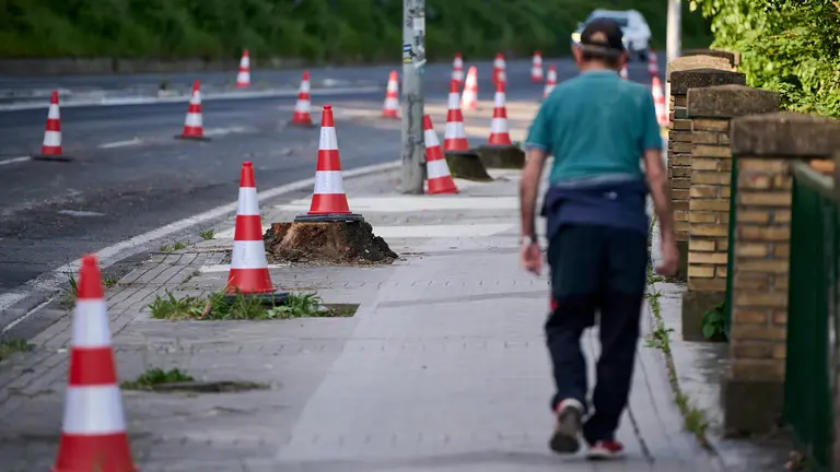 Obras del carril bici en la cuesta de Beloso, donde se han cortado 102 árboles tanto de la acera como de la ladera. PABLO LASAOSA
