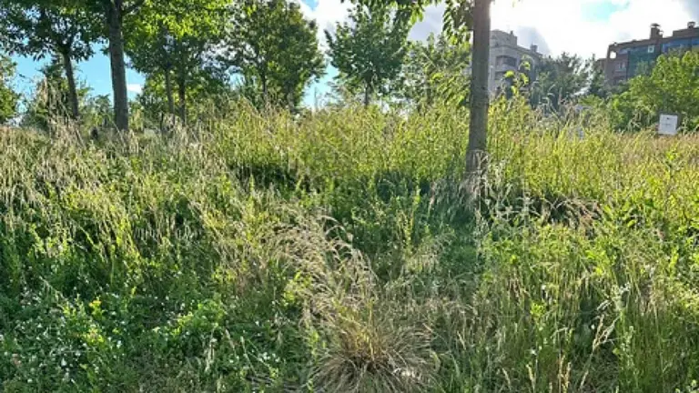 Estado de abandono del parque de Las Pioneras en el barrio de Lezkairu de Pamplona. CEDIDA