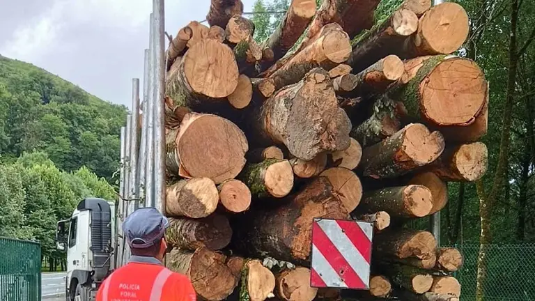Inmovilizado un camión en Zozaia por infracción muy grave de peso. POLICÍA FORAL