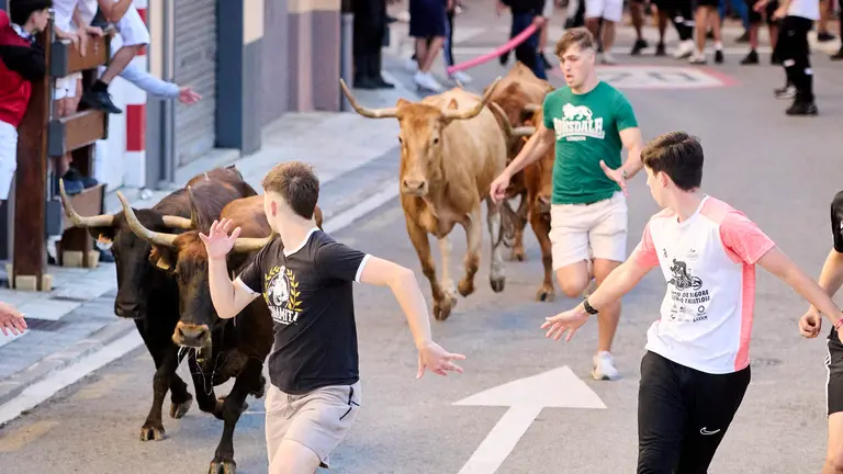 Suelta de vaquillas durante las fiestas de Mutilva 2024. PABLO LASAOSA