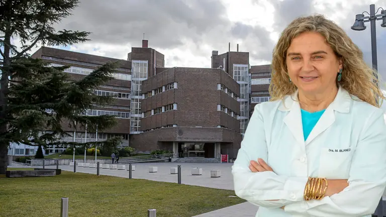 Montaje de María Blanco, catedrática de la Universidad de Navarra. NAVARRA.COM