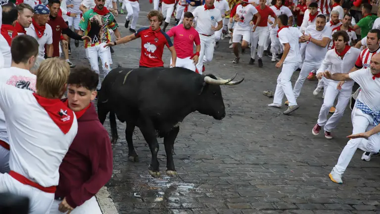 Segundo encierro de las fiestas de San Fermín 2024 con toros de Cebada Gago en el tramo de telefónica. HECTOR NAVARRO