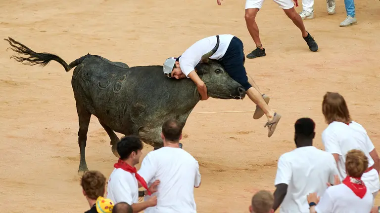 Vaquillas tras el quinto encierro de San Fermín 2024. IRANZU LARRASOAÑA