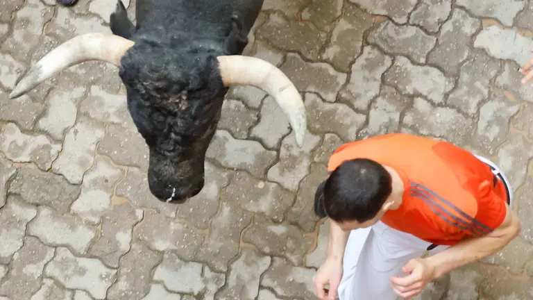 Octavo encierro de San Fermín el día 14 de julio de 2024 con toros de Miura en Pamplona en el tramo de la bajada al callejón. EFE - VILLAR LÓPEZ