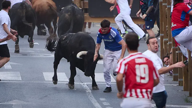 Cuarto encierro de las fiestas de Tudela 2024 con toros de Núñez del Cuvillo. PABLO LASAOSA