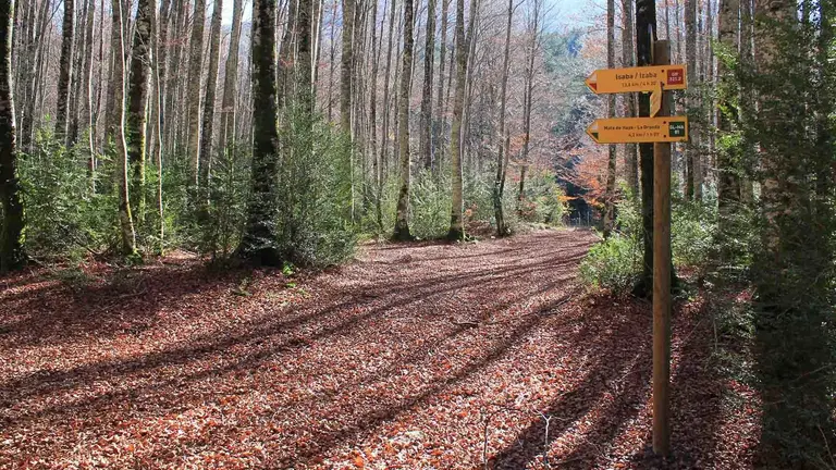 Imagen de la ruta señalizada para llegar hasta la Mata de Haya. RED DE SENDEROS DEL VALLE DEL RONCAL