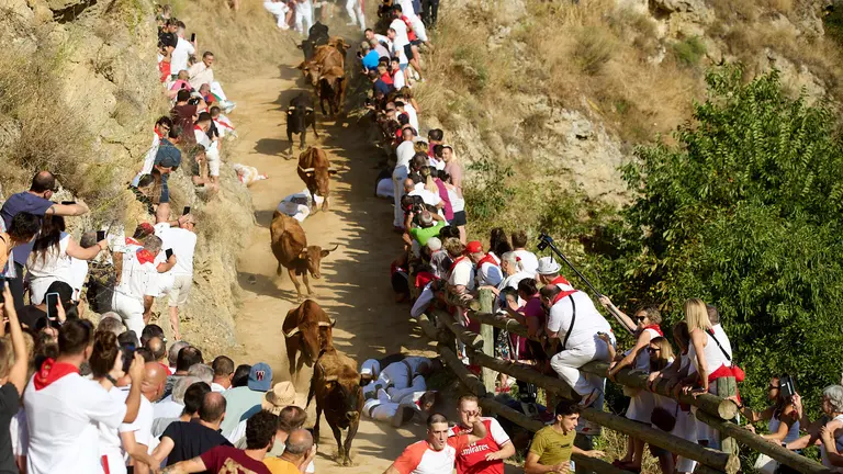Primer encierro del Pilón de Falces 2024 con la ganadería José María Goñi de Falces. IÑIGO ALZUGARAY