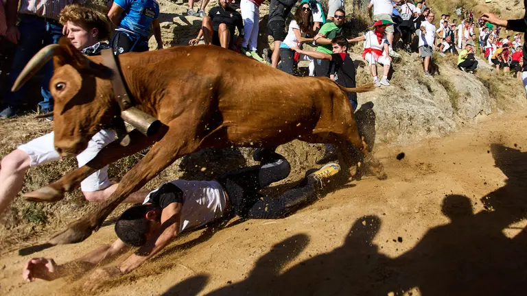 Sexto encierro del Pilón de Falces 2024 con la ganadería Hípica Zahorí de Falces. IÑIGO ALZUGARAY
