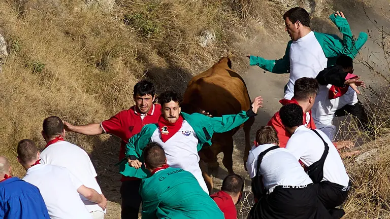 Séptimo encierro del Pilón de Falces 2024 con la ganadería Vicente Domínguez de Funes. IÑIGO ALZUGARAY