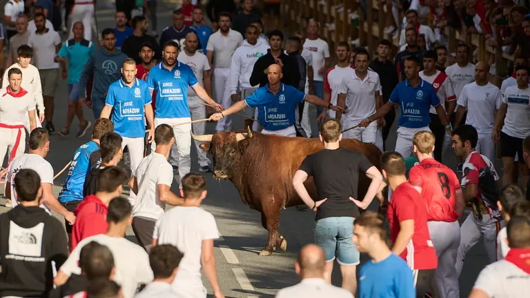 Tercer encierro de las fiestas de Tafalla2024 con toros de la ganadería de Miguel Reta. PABLO LASAOSA