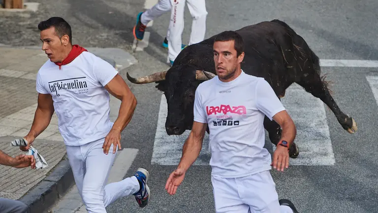 Cuarto encierro de las fiestas de Tafalla 2024 con toros de la ganadería Pincha. IVÁN DELGADO