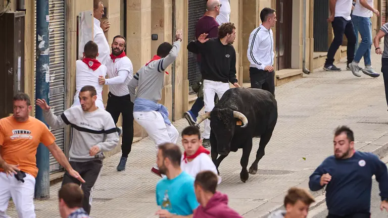 Sexto y último encierro de las fiestas de Tafalla 2024 con toros de Galache de Toropasión. PABLO LASAOSA