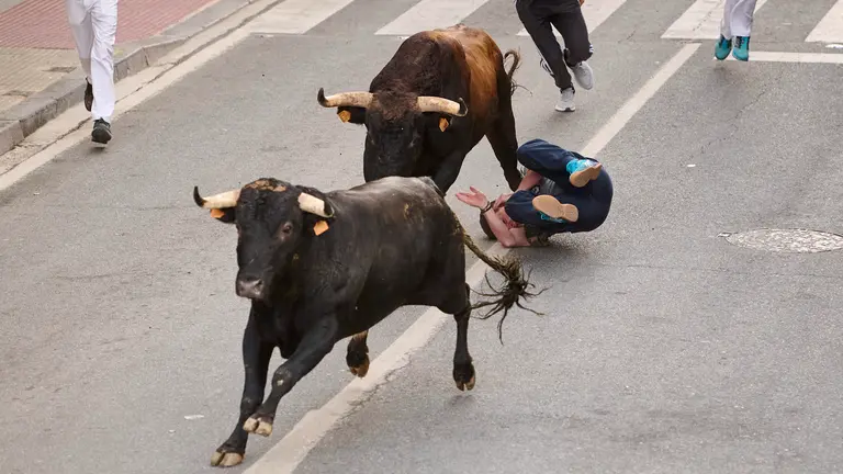 Sexto y último encierro de las fiestas de Tafalla 2024 con toros de Galache de Toropasión. PABLO LASAOSA