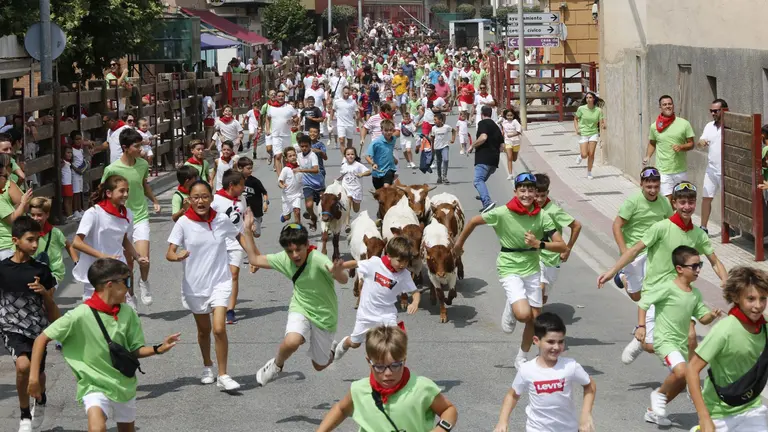 Cientos de niños corren en Valtierra su primer encierro delante de vaquillas de veredad. JOSÉ EMILIO FLORISTÁN