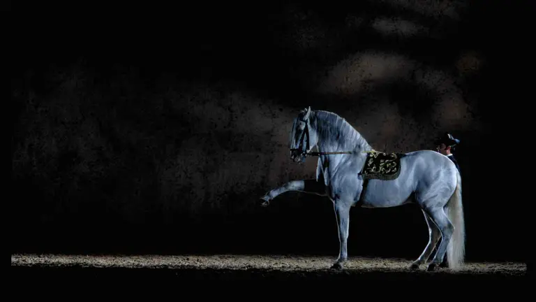 Imagen de uno de los números del espectáculo "Cómo Bailan los Caballos Andauces". NICDO