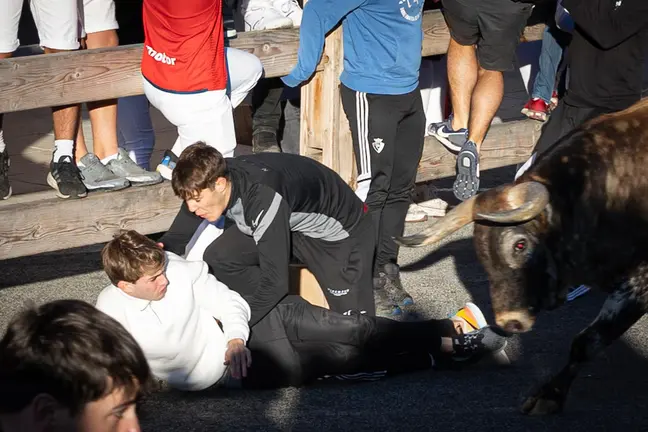 Tercer  encierro de Sangüesa con toros de Sobral de Portugal. Maite H.Mateo-15