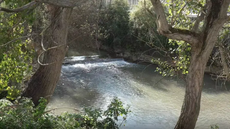 El Ayuntamiento de Pamplona elimina tres azudes y los restos de otras estructuras que estaban presentes el cauce del río Elorz a su paso por Etxabakoitz. AYUNTAMIENTO DE PAMPLONA