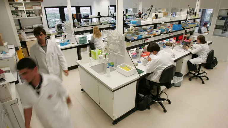 Un grupo de investigadores trabajando en el Cima Universidad de Navarra. CEDIDA