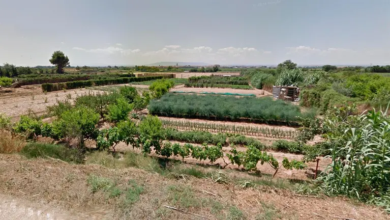 Imagen de unas huertas en Buñuel cerca del río Ebro en la zona con riesgo de inundación. GOOGLE MAPS