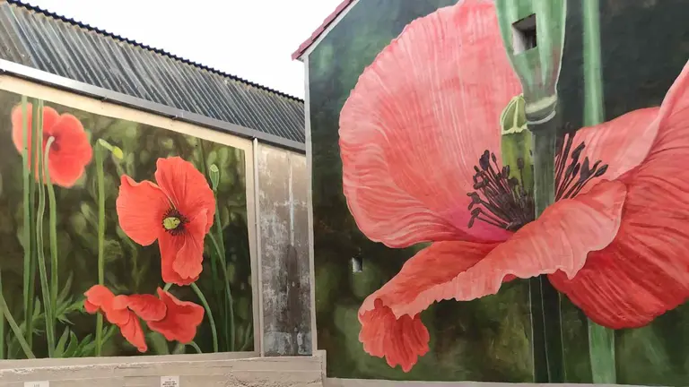 Mural con las amapolas que opta al premio pintado en la fachada de un edificio de Azagra. AYUNTAMIENTO DE AZAGRA / FACEBOOK