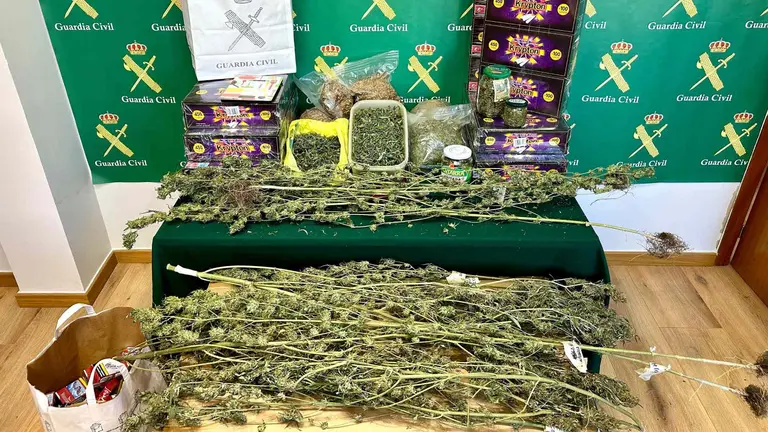 La marihuana aprehendida por la Guardia Civil en Berriozar. GUARDIA CIVIL DE NAVARRA