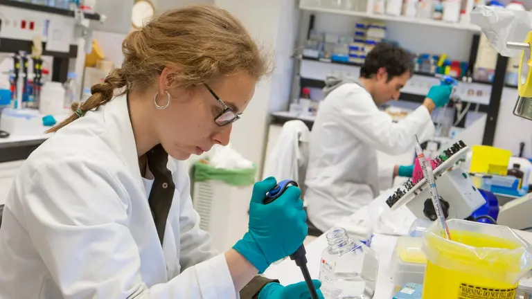 Investigadores trabajando en uno de los laboratorios de la Universidad de Navarra. CEDIDA