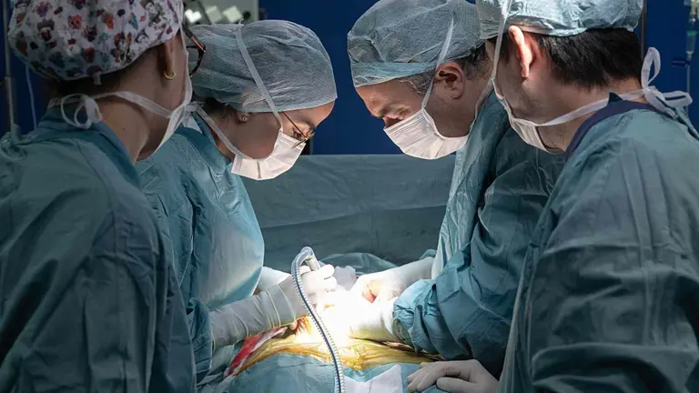 El Dr. Daniel Sánchez Zalabardo y la Dra. Vanesa Talavera, especialista y residente del Departamento de Urología, realizan un trasplante de riñón en la Clínica Universidad de Navarra. CLÍNICA UNIVERSIDAD DE NAVARRA