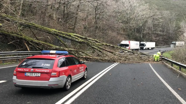 La N121A cortada por caída de árboles. POLICÍA FORAL