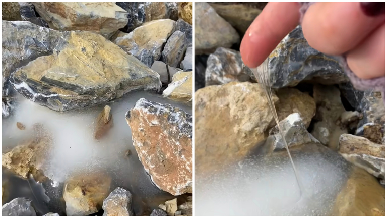 Una masa viscosa aparece en el Valle de la Ultzama en Navarra. NAVARRA.COM