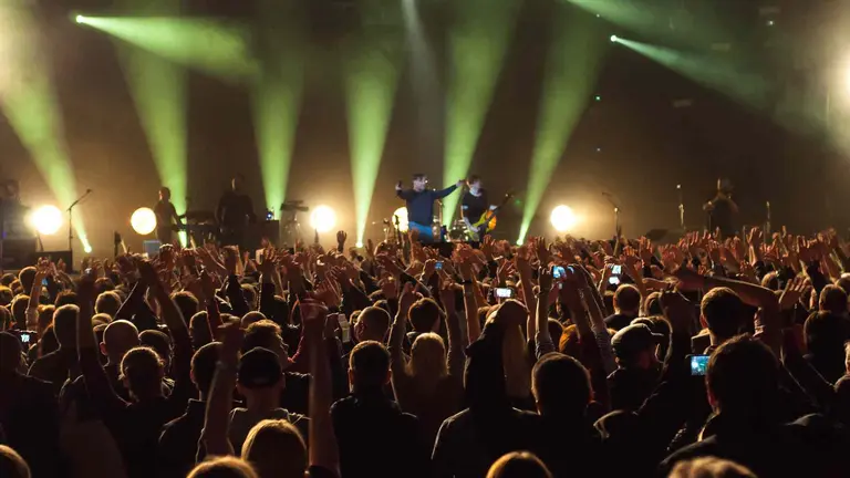 Jóvenes disfrutando de un concierto durante un festival de verano. BRISADELA
