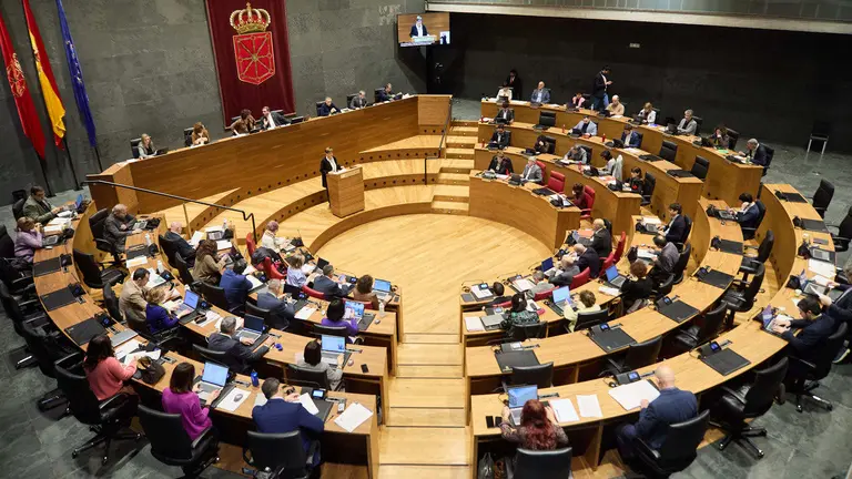 Pleno del Parlamento de Navarra. IÑIGO ALZUGARAY