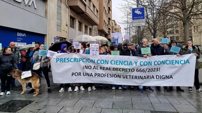 Concentración en Pamplona del Colegio Oficial de Veterinarios de Navarra en contra del Real Decreto 666/2023, que regula la dispensación y uso de medicamentos. EUROPA PRESS