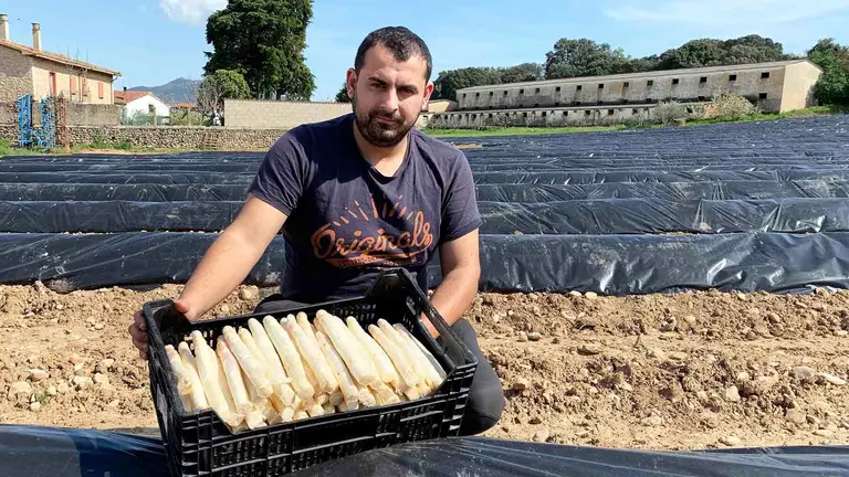Javier Pérez de Zabalza en su finca de espárragos en Legaria. Navarra.com
