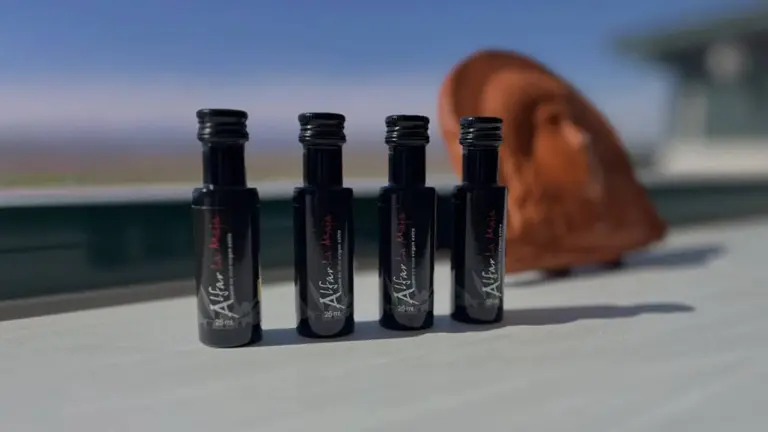 Imagen de archivo de una selección de Aceites la Maja de Mendavia. ACEITES LA MAJA