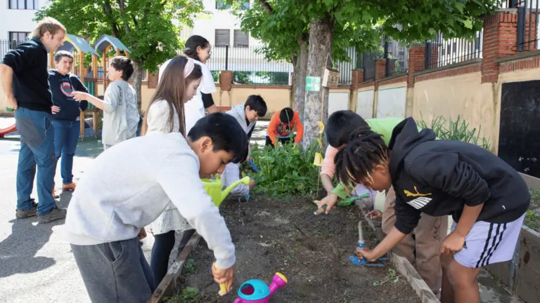 Se abre la inscripción para que los centros de Infantil y Primaria de Pamplona apuesten por ‘Huertas escolares ecológicas’ con apoyo del Ayuntamiento. AYUNTAMIENTO DE PAMPLONA