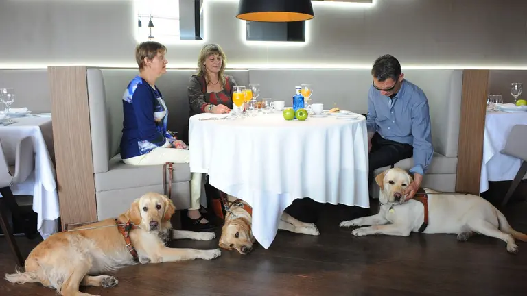 Los perros guía de la ONCE en
Navarra reclaman su derecho de
acceso a establecimientos de

restauración. ONCE
