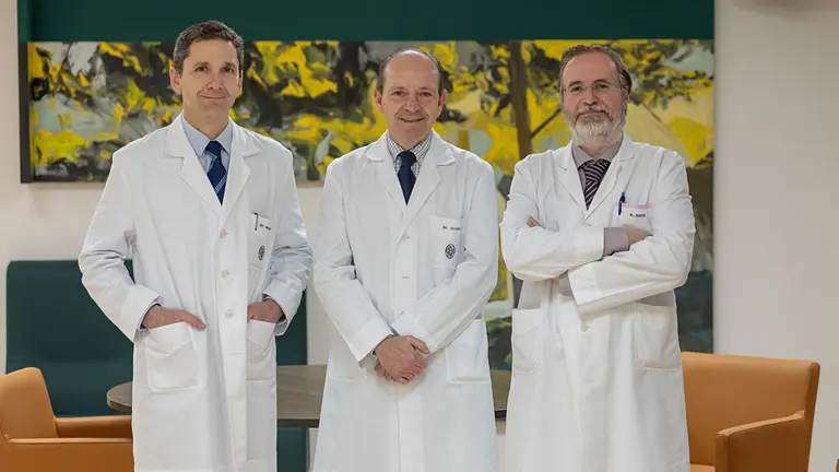 De izquierda a derecha, el Dr. Patricio Molero, psiquiatra de la Clínica Universidad de Navarra, el Dr. Felipe Ortuño, codirector del Departamento de Psiquiatría, y el Dr. Manuel Alegre, director del Servicio de Neurofisiología. CEDIDA