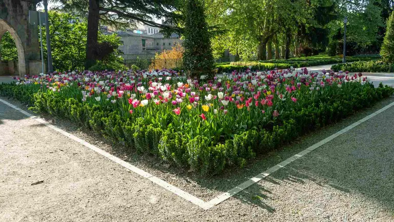 Nuevos caminos transitables en el parque de la Taconera. AYUNTAMIENTO DE PAMPLONA