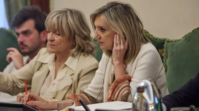 Cristina Ibarrola Pleno ordinario del Ayuntamiento de Pamplona. IÑIGO ALZUGARAY