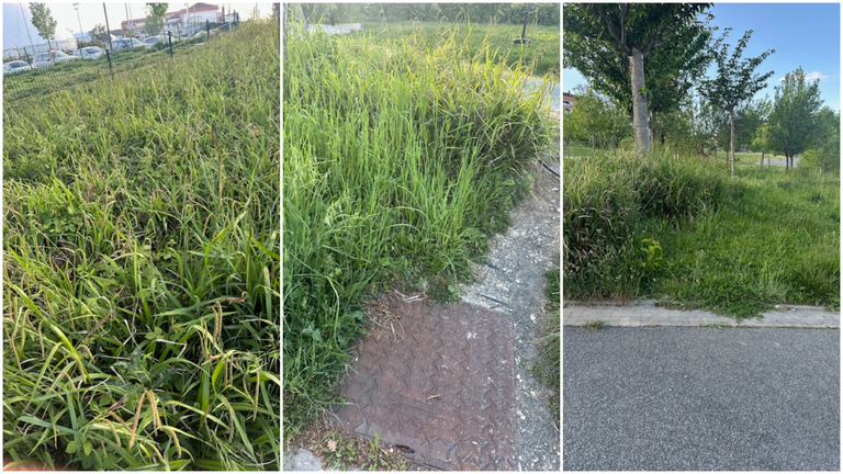 Estado de abandono del parque de Las Pioneras en el barrio de Lezkairu de Pamplona. CEDIDA