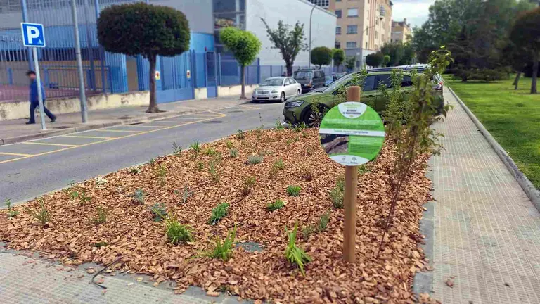 Las “Islas de Biodiversidad”
llegan al Parque Talluntze como
propuesta ganadora de los
Presupuestos Participativos de
2024. AYUNTAMIENTO DE ZIZUR MAYOR