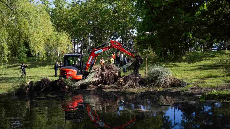 Personal del consistorio de Zizur Mayor retirando con maquinaria plumero de la Pampa, de la balsa de Zizur. GOBIERNO DE NAVARRA