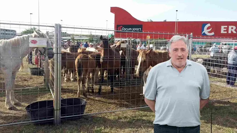 Fotomontaje de Joseba Asirón sobre una imagen de la Feria del ganado equino en el polígono de Agustinos.
