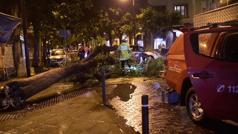 Varios bomberos trabajan en la retirada de un árbol caído durante la tormenta en la calle San Fermín de Pamplona. IÑIGO ALZUGARAY